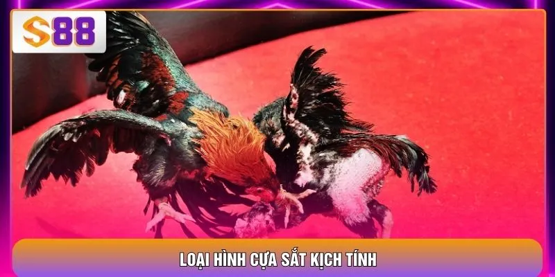 Loại hình cựa sắt kịch tính