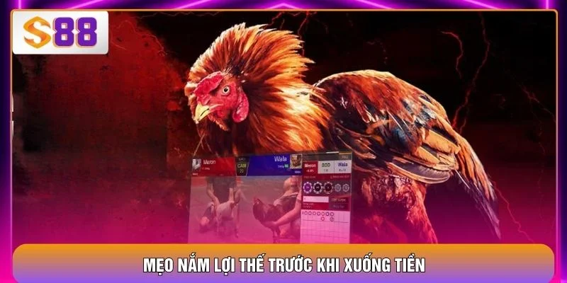 Mẹo nắm lợi thế trước khi xuống tiền