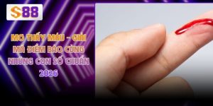 Mơ Thấy Máu - Giải Mã Điềm Báo Cùng Những Con Số Chuẩn 2026