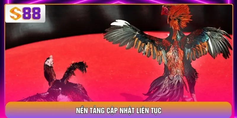 Nền tảng cập nhật liên tục